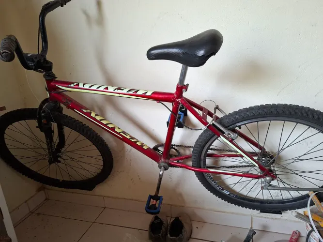 Bicicleta comun