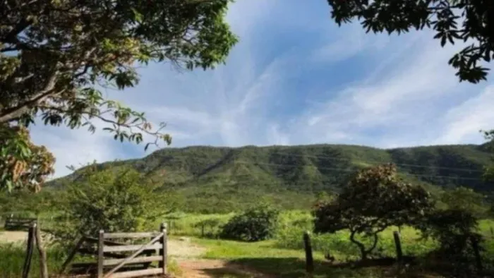 FAZENDA RENASCER - ANTIGO ENGENHO SANTO ANTÔNIO, COLÔNIA LEOPOLDINA/AL, COM ÁREA TOTAL DE 