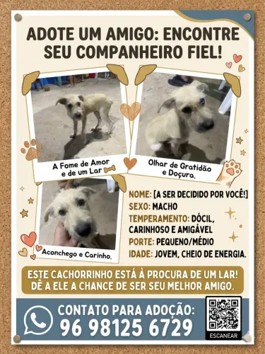 Bebê para adoção 