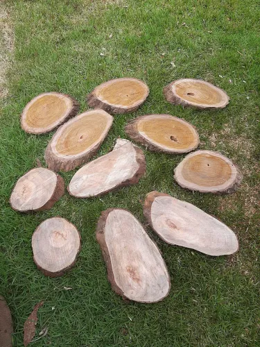 Bolachas de madeira
