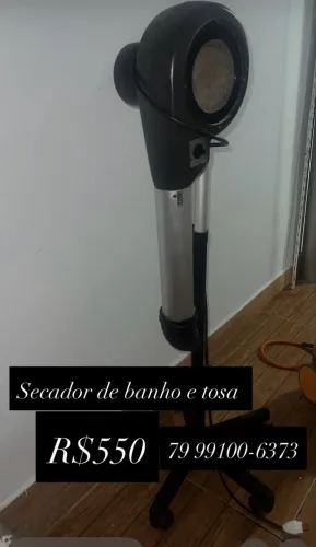 Secador de banho e tosa