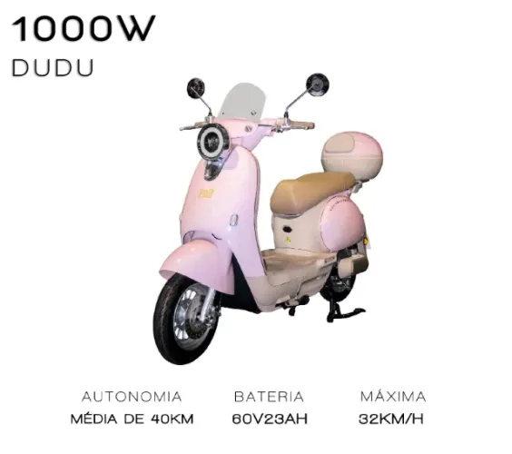 MOTO ELÉTRICA 1000W