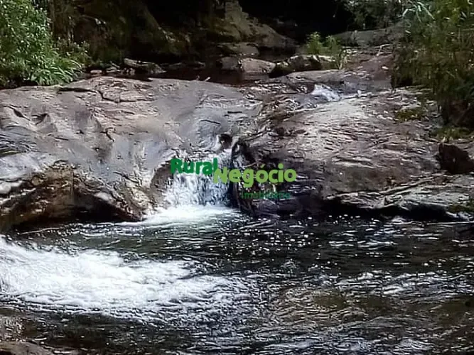 FAZENDA COM RIBEIRÃO E PASTO FORMADO Á VENDA EM SILVEIRAS-SP