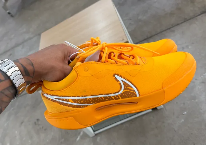 Nike Court Zoom Pro