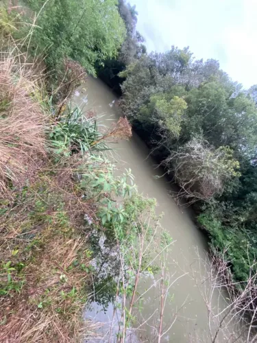 Oportunidade cinco hectares de natureza com rio no RS