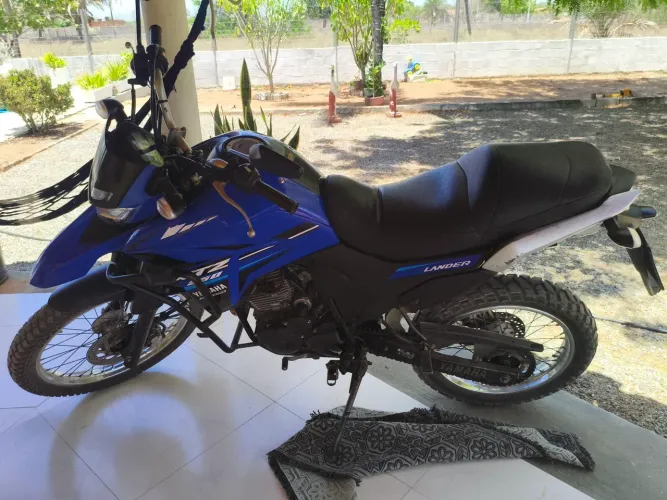 Moto boa e barata