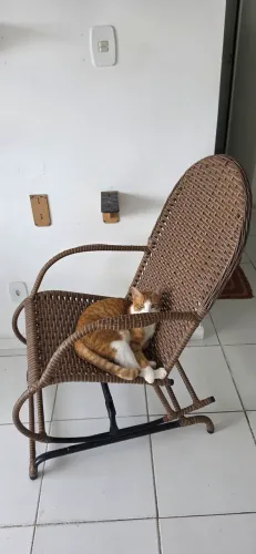 Cadeira de balanço seminova.
