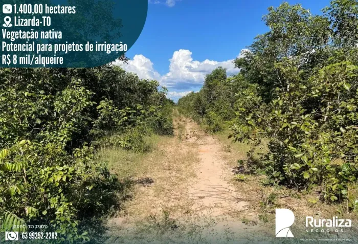 1.400 HA | POTENCIAL PARA IRRIGAÇÃO | R$ 2,6 MILHÕES