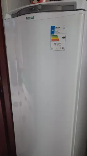 Freezer vertical 246 litros 110v