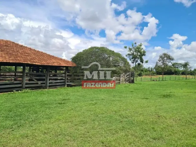 Fazenda 526 Alqueires (2.545 Hectares) Porangatu - GO