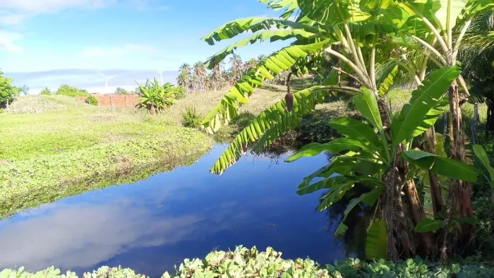Terreno à venda no Morro do Chapéu com 1279 metros²