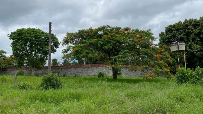 Chacara de 1.100mt todas com energia em trindade!