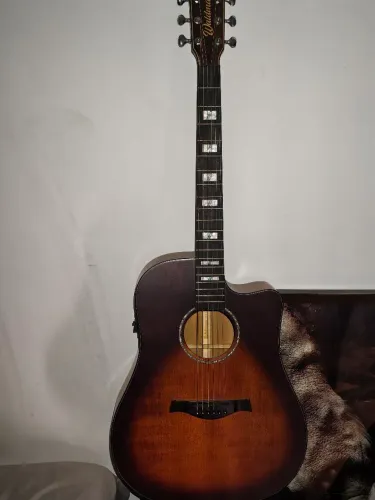 Violão Waldman Dcex 2041