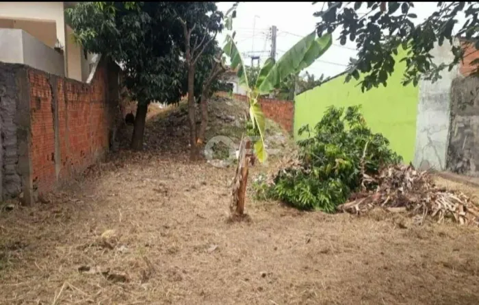 terreno - Jardim Florence - Campinas