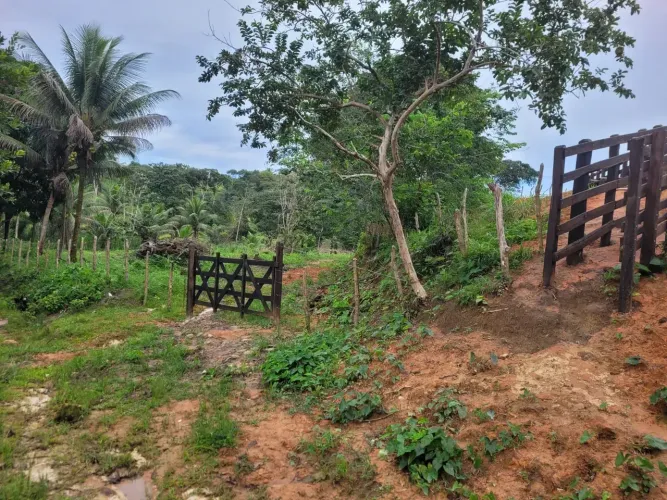 Vendemos uma Fazenda em Barreiros-PE-com 103 hec-toda pronta-boa pra Criar-Plantar-R$:27.5