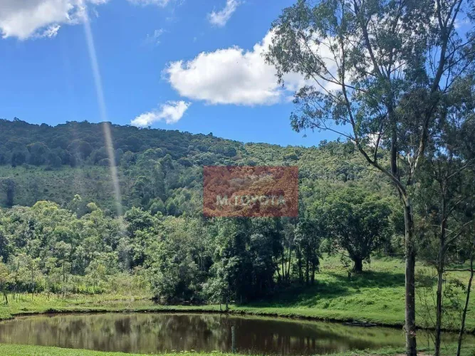 Sítio à venda, 605000 m² por R$ 4.000.000,00 - Dos Pretos - Joanópolis/SP