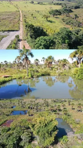 Imóvel para venda tem 60000 metros quadrados com 3 quartos em São Gabriel de Goiás - Plana