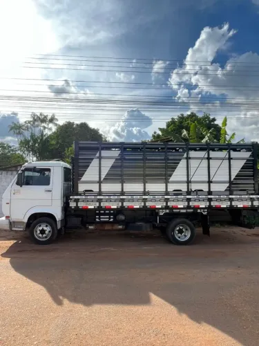 Caminhão 8-120
