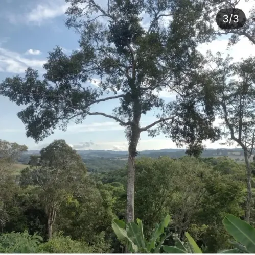TERRENO NA CIDADE DE IBIUNA
