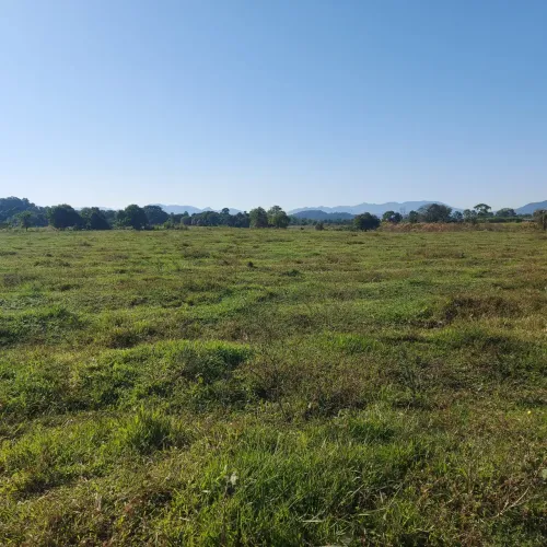 OPORTUNIDADE!!! ZONA RURAL!!!
