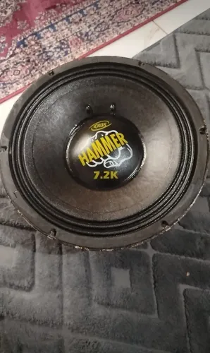 Triton 12" 4.000rms- 4 oh, R$ 700,00