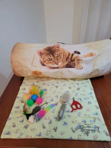 Kit pet: escova para pet+tapete pet +tesoura+brinquedos para gato+ Brinde