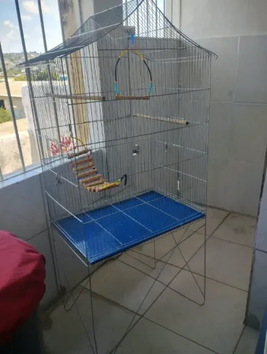 GAIOLA DE AÇO