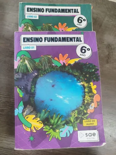 Livros Sae Digital 6 ano perfeito estado de uso 