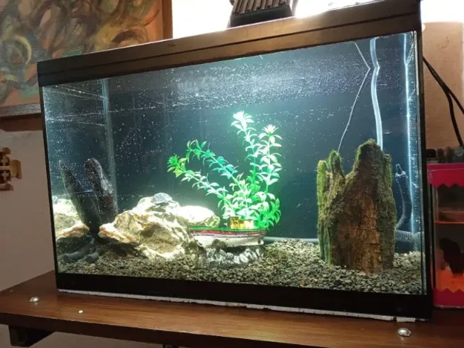 Aquário  para criação ou hobby