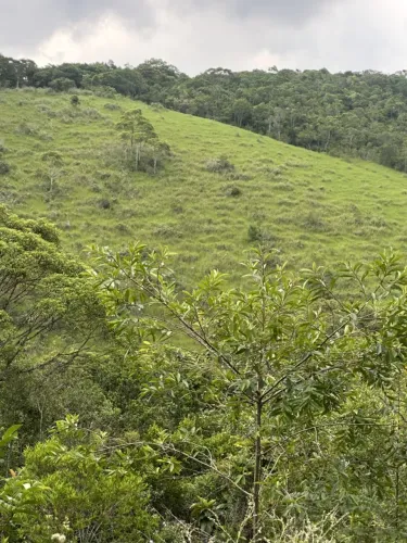 Sítio para Venda em Paulo Lopes, Penha