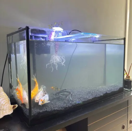 Aquário 80L