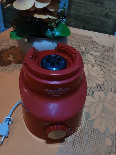 Bojos de liquidificador 