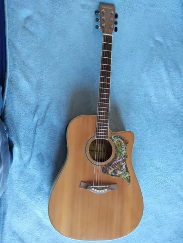 Violão Giannini Folk performance 