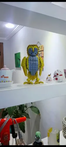 Coruja Bubo