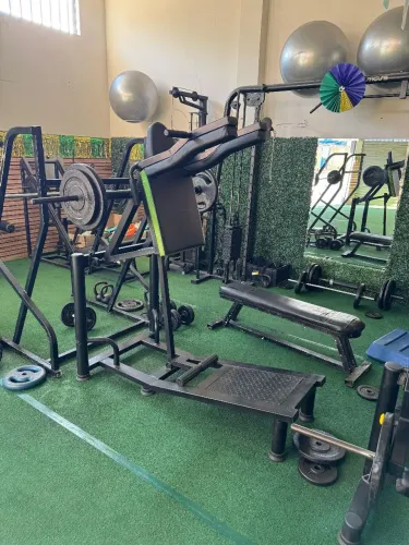 Agachamento squat (hack)