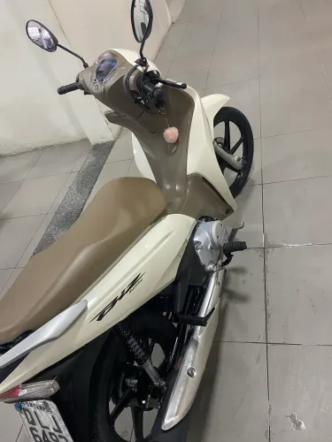 Vende biz 2018
