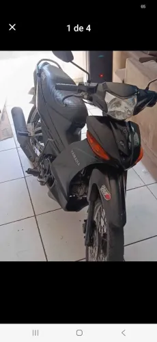 Verde toda em dias