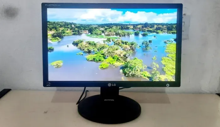 Monitor 20 Polegadas Lg Flatron Led E2011P Widescreen