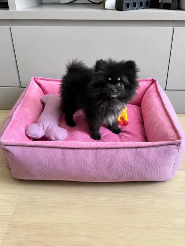 Cama pet - com zíper fundo impermeável