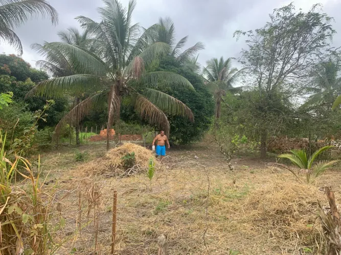 Vendo esse terreno em santo Amaro povoado tabuleiro