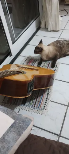 Violão Rozzini 7 Cordas Nylon Excelente Estado de Conservação
