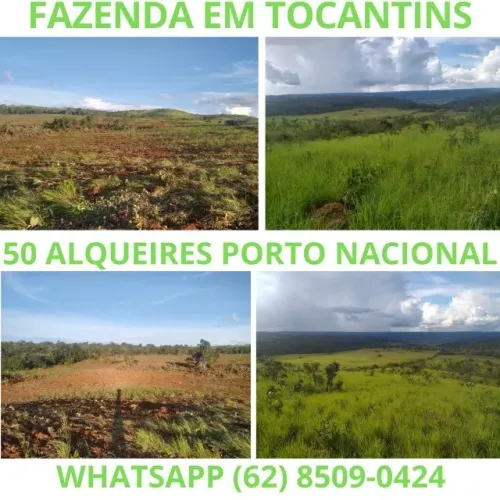 Fazenda Sitio Chacara Terra Tocantins Porto Nacional 50 Alqueires 2 Cachoeiras pra Gado