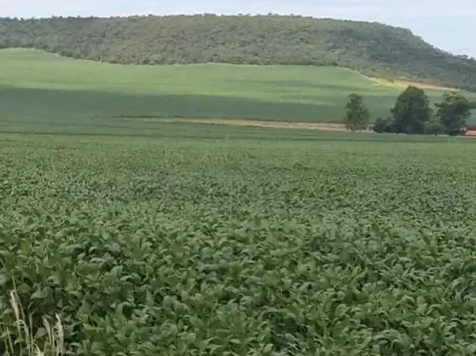 Fazenda de 405 alqueires em Caiapônia-Go