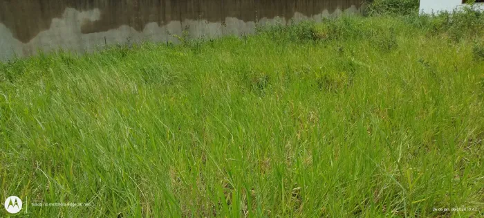 Lote/Terreno para PERMUTA com 448m² em Praia Mar - Rio das Ostras - RJ