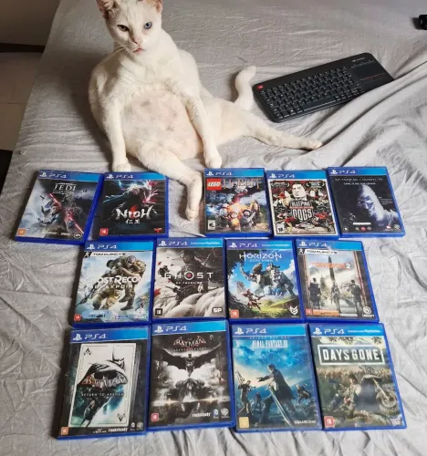 Jogos de Playstation 4 - Diversos