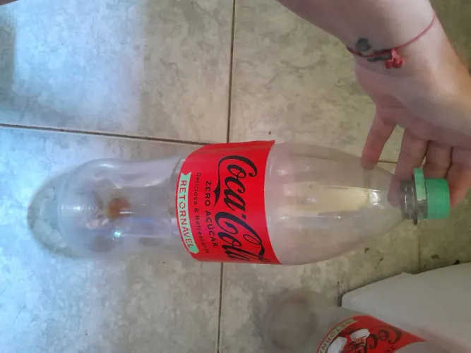 Garrafa de Coca Cola 2 litros Retornável