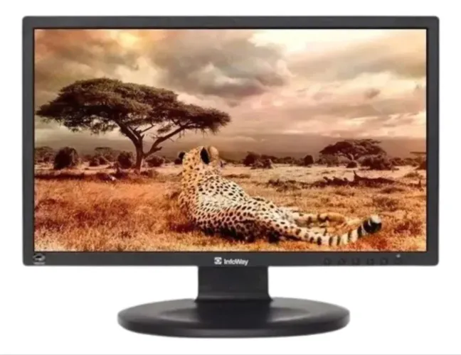 Monitor 60hz 19 polegadas 