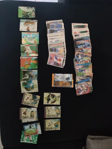 Coleção Cards de Baseball