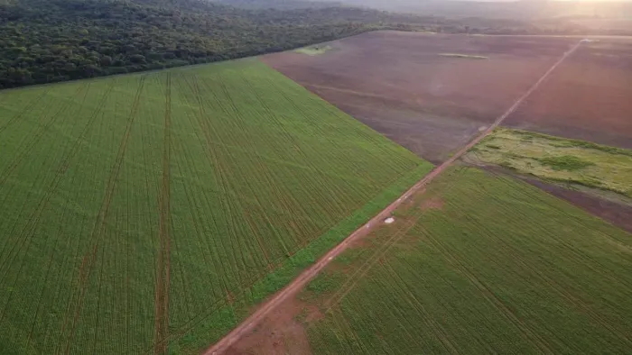 Fazenda de 1.034 hec em são José do couto, MT. 700hec plantando, arrendada já. 38 milhões