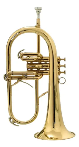 Flugelhorn Hs Musical Sib NOVO - 10X no cartão - Envio p/ todo Brasil
